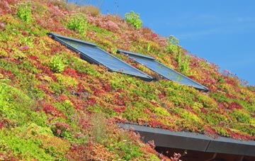 Amen Corner living roof systems